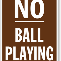 NO BALL PLAYING