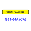 WHEN FLASHING G81-64ACA